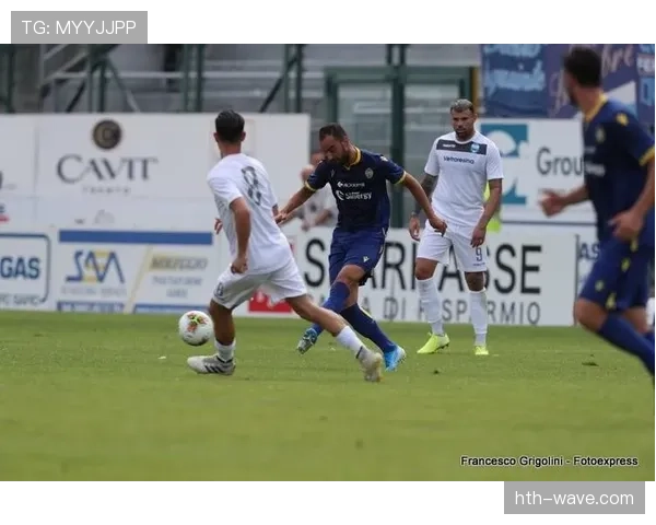 维罗纳边路奇才闪耀赛场,速度与技巧完美融合引瞩目